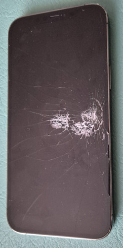 Iphone pro max - 12,